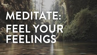 13Minute Guided Meditation | Feel Your Feelings