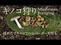 #32 キノコ狩り 【 Mushroom Foraging 】【Bushcraft】【焚き火で調理】