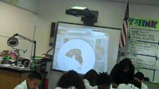 Squid Dissection 5A part 1