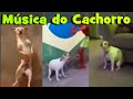 Música do Cachorro - Meme do Cachorroooooo  Au REMIX