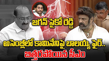 Nandamuri Balakrishna : చిరంజీవి అడిగితే వచ్చాడంట, తొమ్మిదో పేరు వేశారు | AP Assembly | Oneindia
