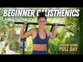 Beginner calisthenics pull workout follow along 45mins