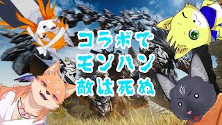 【モンスターハンターワイルズ】ワイルズコラボ！とりあえず乱獲乱獲～🤞【 VTuber　黒猫龍星 】　＃ケモノVTuber