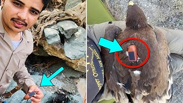 This man found an EAGLE with a GPS tracker. He connected it to a computer and couldn’tbelievehiseyes