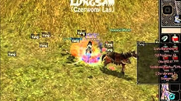 Metin2 PL Asassin2345 vs hunting for soul stone