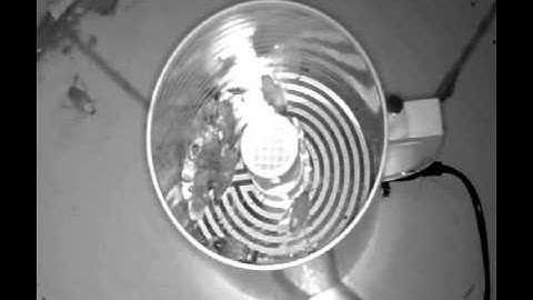 Cockroach killer, electronic cockroach trap