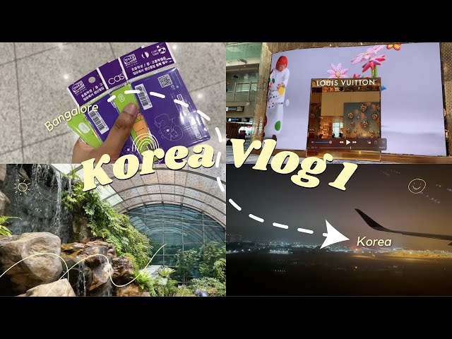Korea Vlog 1 - Bangalore to Seoul - Indian in Korea - Changi