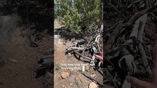 I found Gold, here’s what I do next