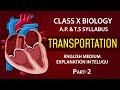 Transportation  human heart  10th biology chapter 3  ap  ts syllabus em eduscopetelugustatesyllabus