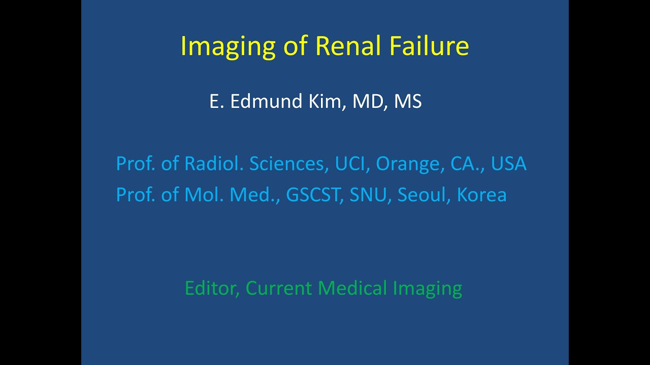 [2020 2nd Semester] Imaging of Renal Failure