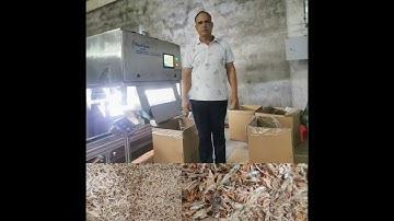 dried shrimp color sorting machine with belt color sorter
