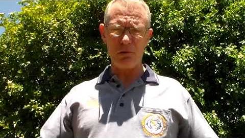 Antennas, trees and flexibility