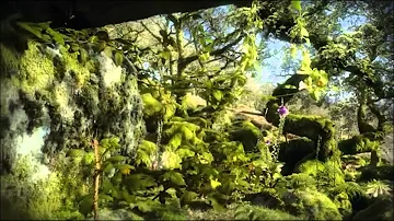 BBC Life: Plants. 6 month time lapse in one minute