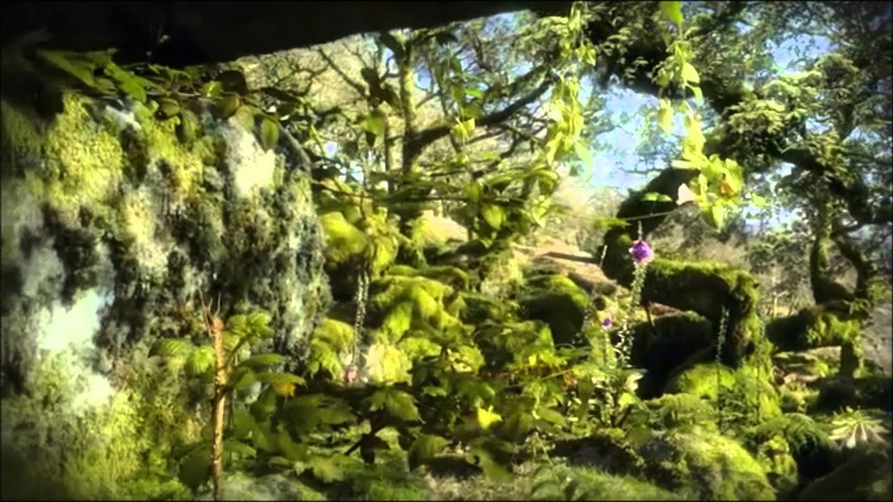 bbc-life-plants-6-month-time-lapse-in-one-minute-youtube