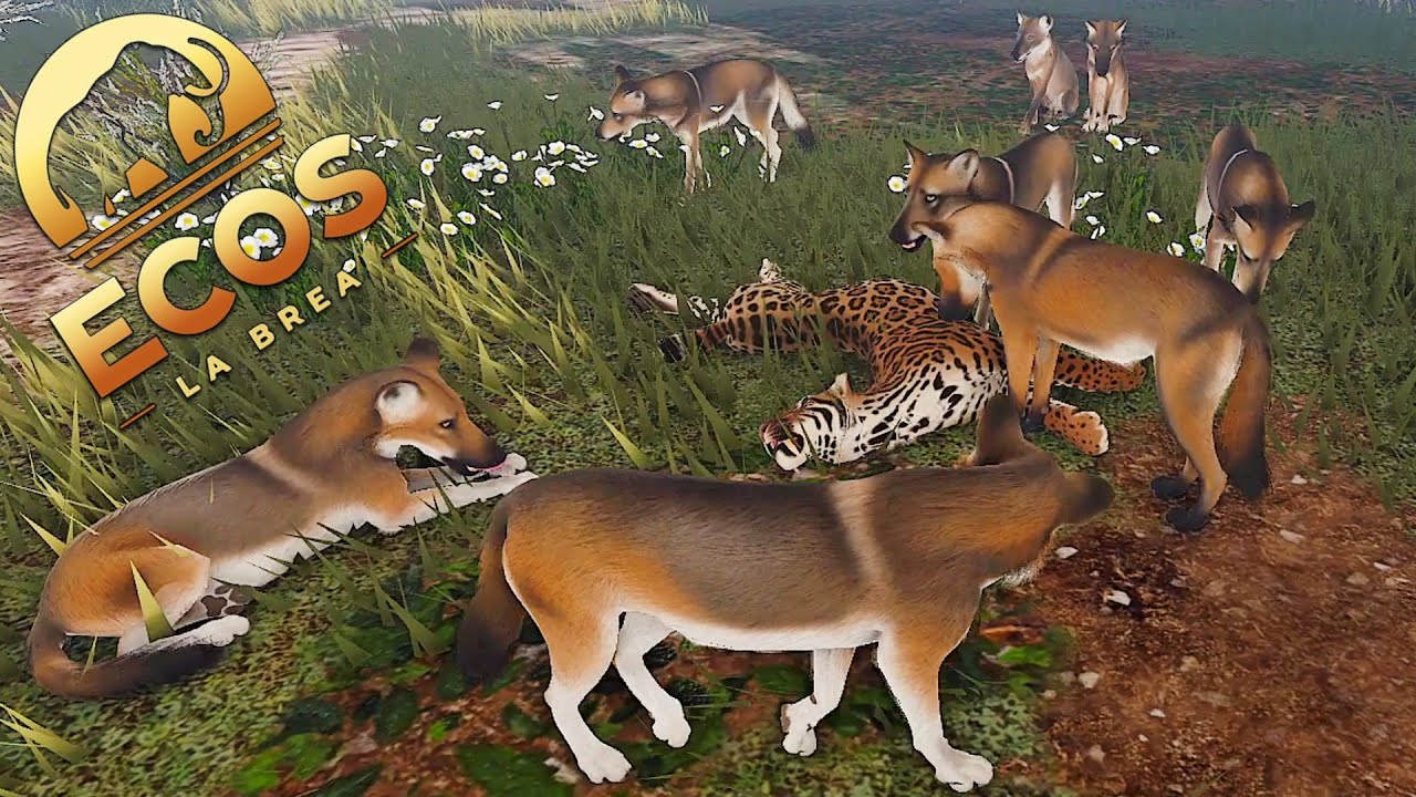 How a Pack of Dire Wolfs Survived the Ice Age