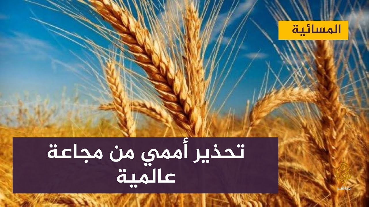 تحذير أممي من مجاعة عالمية