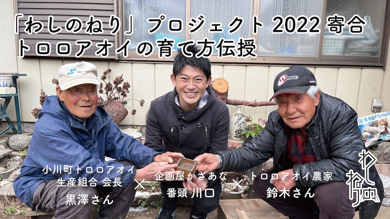 わしのねり2022寄合 「農家さんからトロロアオイの育て方伝授」