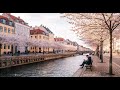 𝐏𝐥𝐚𝐲𝐥𝐢𝐬𝐭💖  Soft Jazz Lo-fi Song~ for Working, Relaxing, Studying~Cafe BGM 💿🎶 ✨