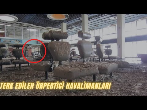 Video: Yıldızların okul şakaları: hayattan hikayeler