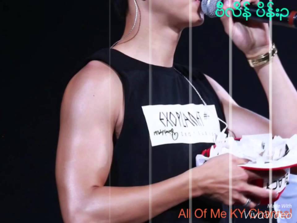 [FMV]Chanyeol - Dear Future Husband #ExoluxioninGuangzhou