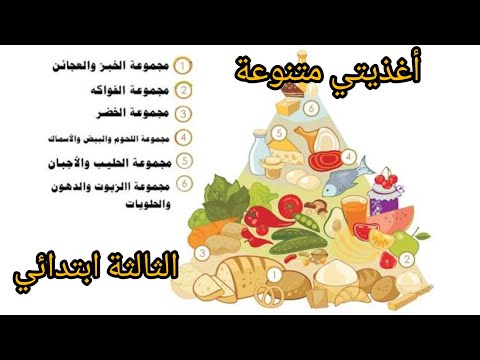 أول درس في التربية العلمية أغذيتي متنوعة للسنة الثالثة ابتدائي