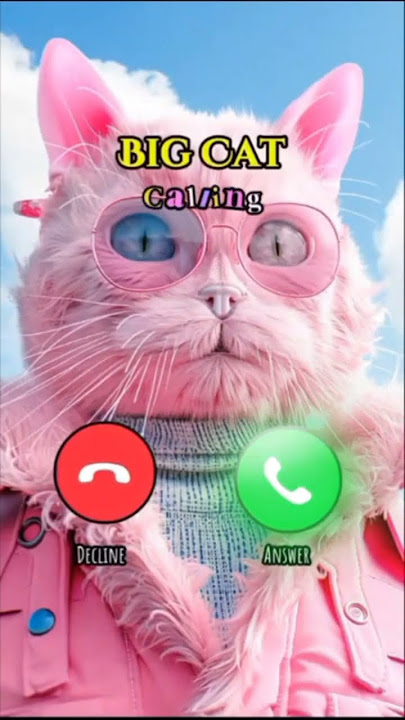 So cat #ringtone #nadaderingtelepon #smartphone #ringtones