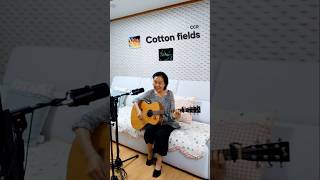 Cotton Fields covered by @70어게인@70again #ccr #기타연주 #song #추억의노래