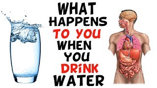 What happens to you when you drink water ? - YouTube