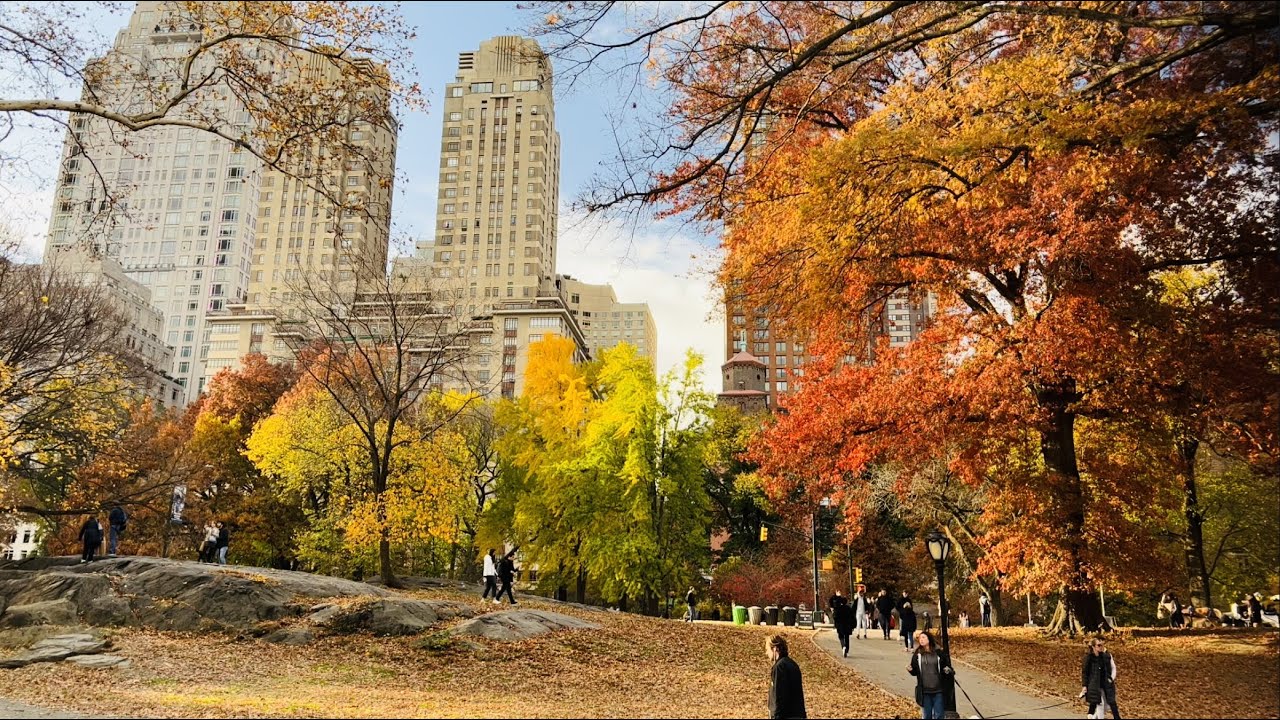 Fall Foliage Central Park NYC Sunday YouTube