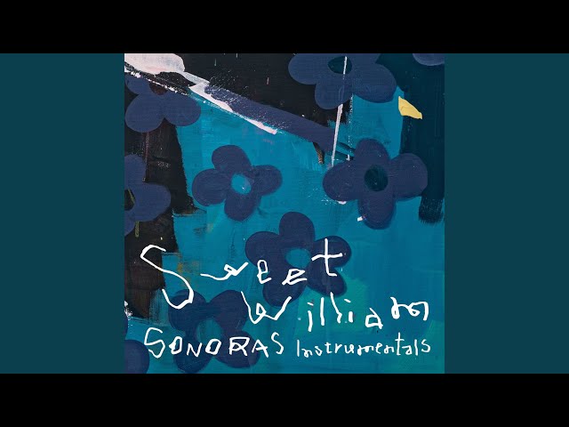 邦楽 Sweet Williams Sonoras LP Sweet William/SONORAS-2LP- | Jazzy Sport Music