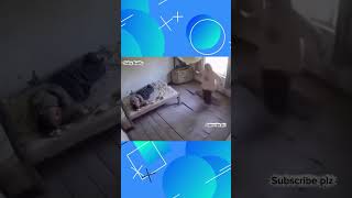 Can't believe his reaction to this prank 🤣 #shorts #funny #couple