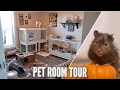 UPDATED Pet Room Tour