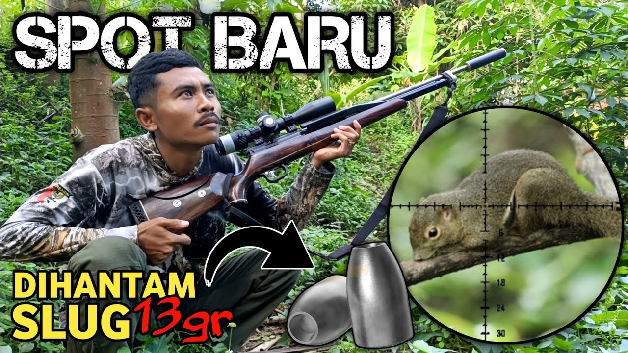 Berburu di spot baru‼️ Bajingnya jinak-jinak banget