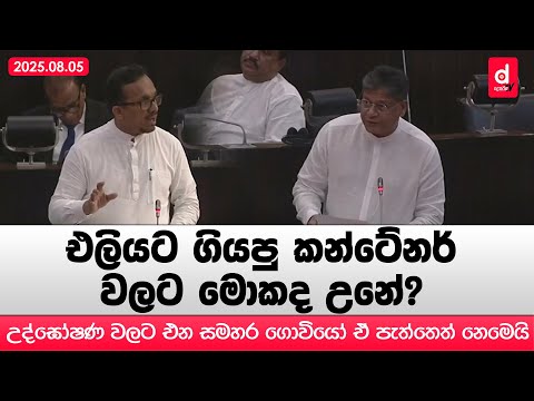 එලියට ගියපු කන්ටේනර් වලට මොකද උනේ? - දිලිත් ජයවීර | Desawana News | Sinhala News
