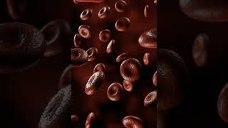 Les Globules Rouges Les Hematies Ou Les Erythrocyte