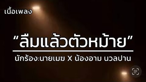 ลืมตัวแล้วหม้าย - นายเมฆ X น้องอาม นวลปาน [เนื้อเพลง]