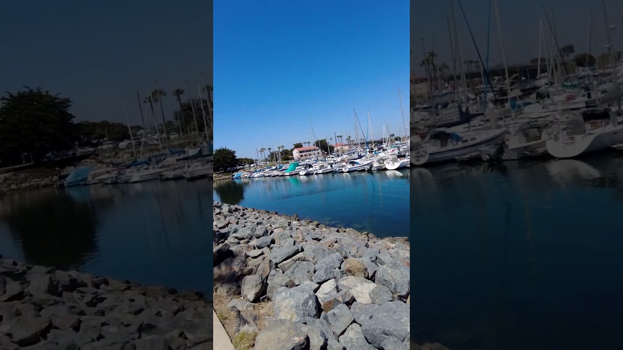 Mrs. Olson's view of the Channel Islands Harbor