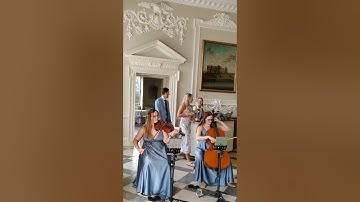 Perfect - Ed Sheeran performed by Serenity String Duo at Crowcombe Court