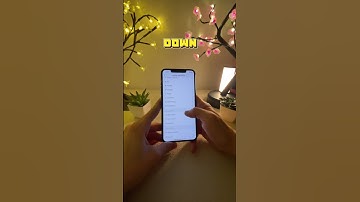 How to Clear Your Cache on TikTok