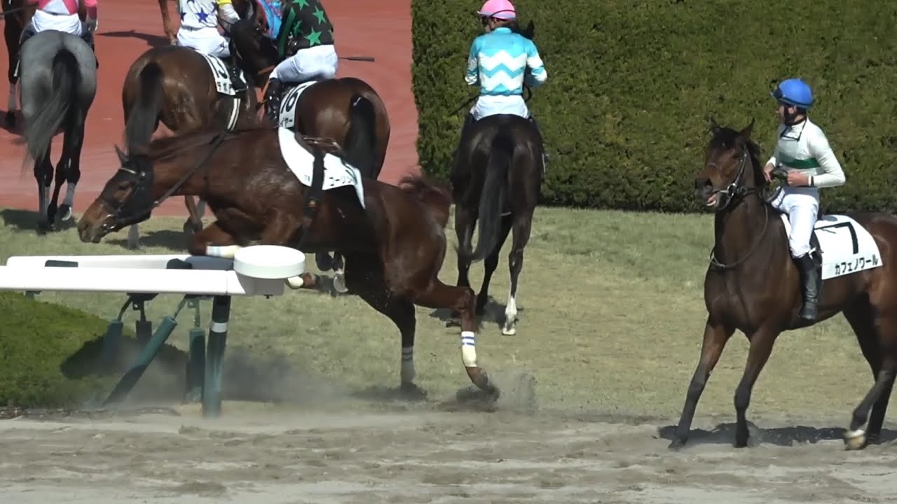 【落馬】コーリンラズベリーが発馬機内で立ち上がり放馬  内ラチに挟まるも抜け出す【阪神競馬場 松山弘平騎手は綺麗に着地する】
