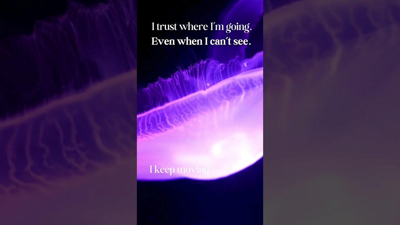 I trust where I’m going. Even when I can’t see. #mindfulness #growthmindset #healing #empowerment adlı videoyu YouTube'da izle I trust where I’m going. Even when I can’t see. #mindfulness #growthmindset #healing #empowerment adlı videoyu YouTube'da izle