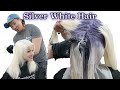 Silver White Hair - Guy's World Episode 14