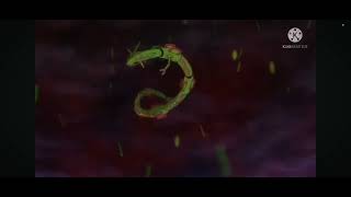 Death Battle Trailer Rayquaza Vs Omnimon Pokemon Vs Digimon (Reupload) #pokemon #digimon 