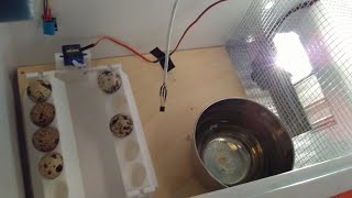 9 to 12 volt homemade egg incubator fully automated by Arduino