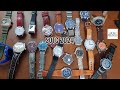 Sotc 2024 state of watch collection