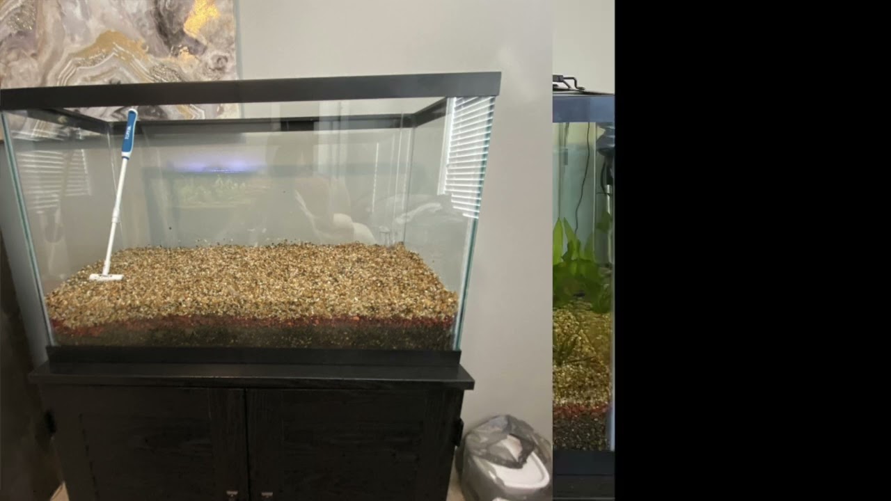 Marks Anoxic filtration build. Nitrates went from 20-40ppm to 0ppm.