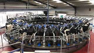 40 Point De-Laval Rotary Milking Parlour.
