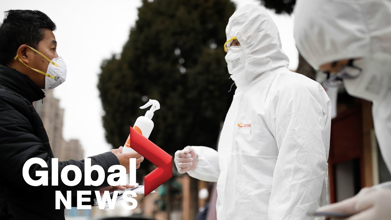 Coronavirus outbreak: House Foreign Affairs, CDC speak on COVID-19 response | LIVE - Global News thumbnail