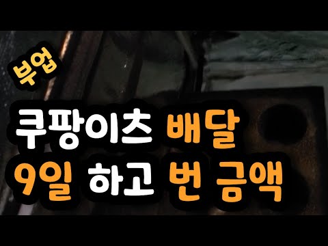 쿠팡이츠 배달파트너 후기