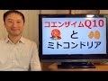 ミトコンドリアに重要なコエンザイムQ10とは！？CoQ10でミトコンドリアも復活！？【栄養チャンネル信長】